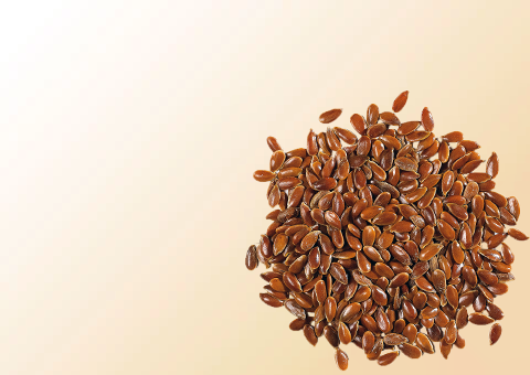Seeds